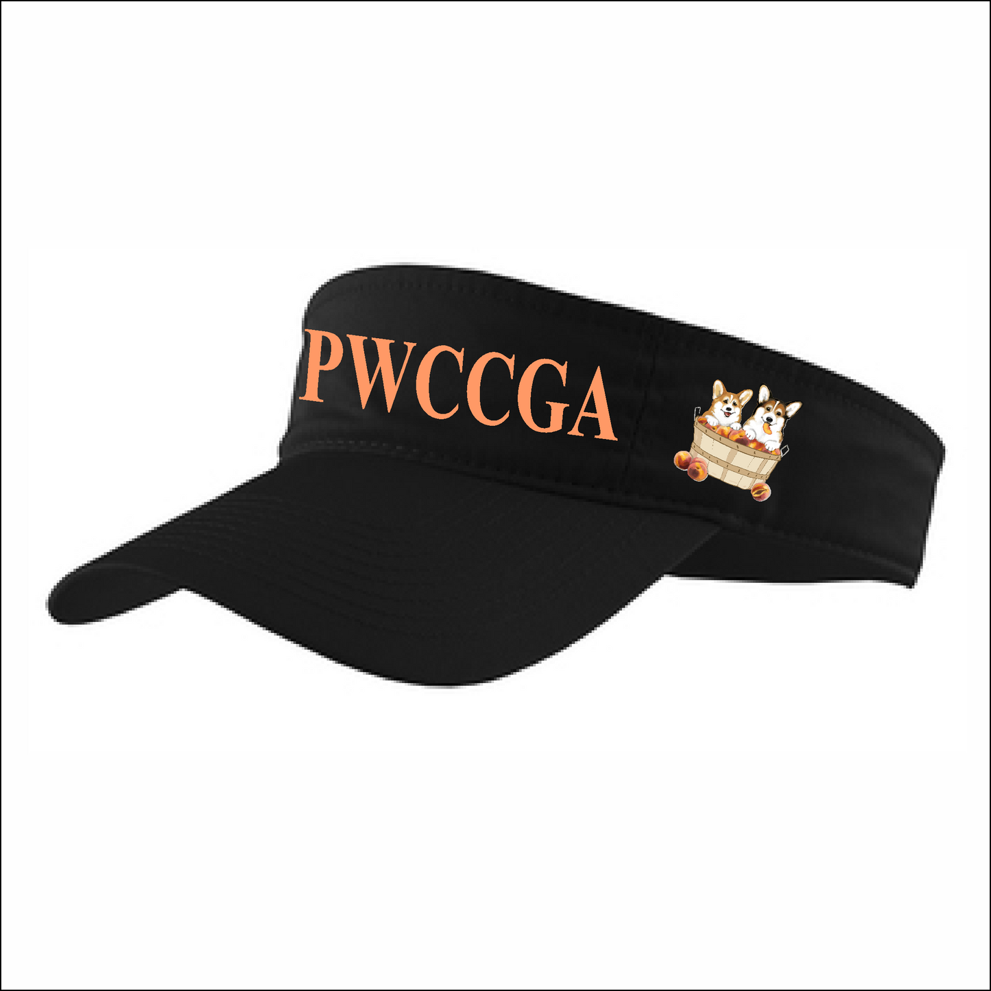 PWCCGA - Visor