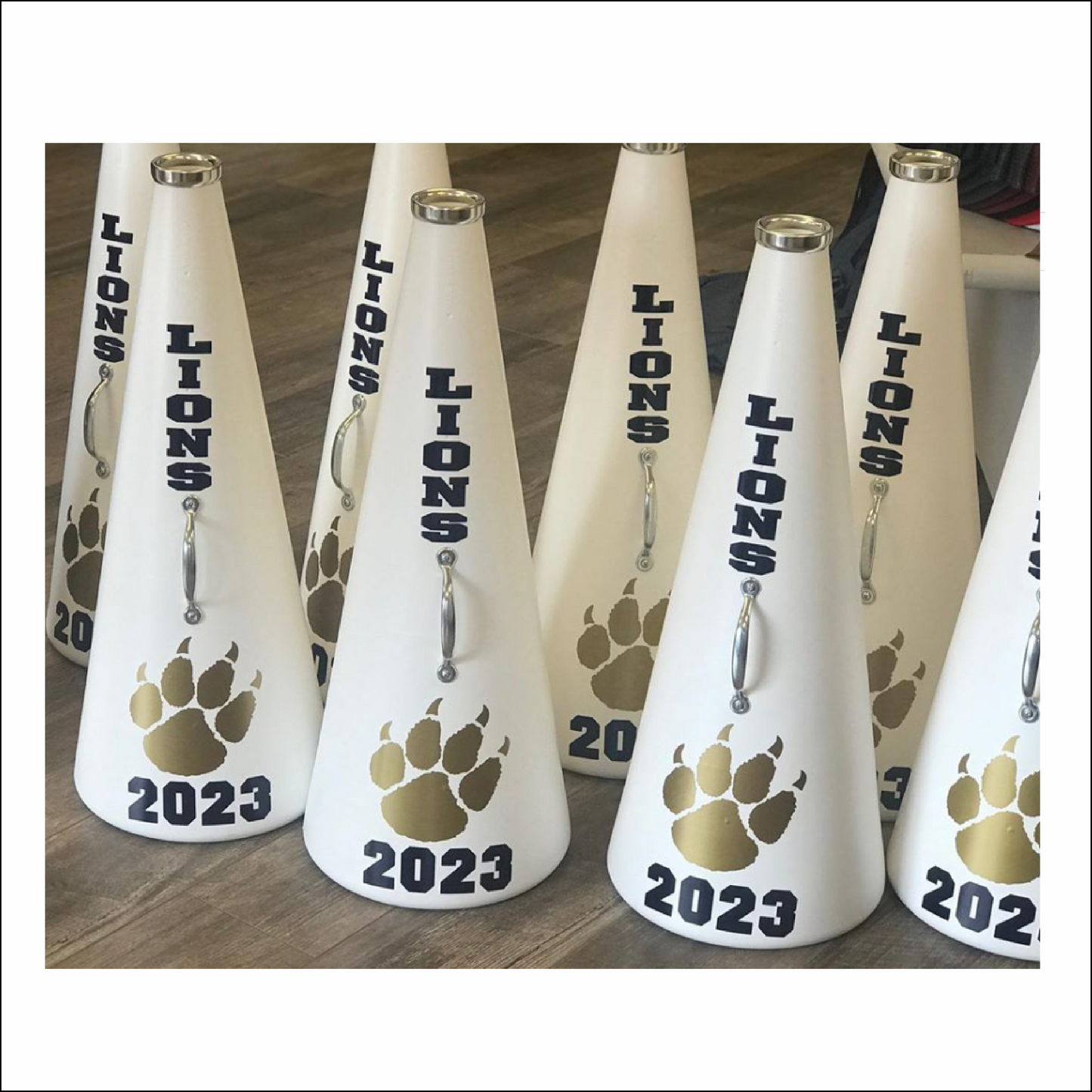 Custom Megaphones