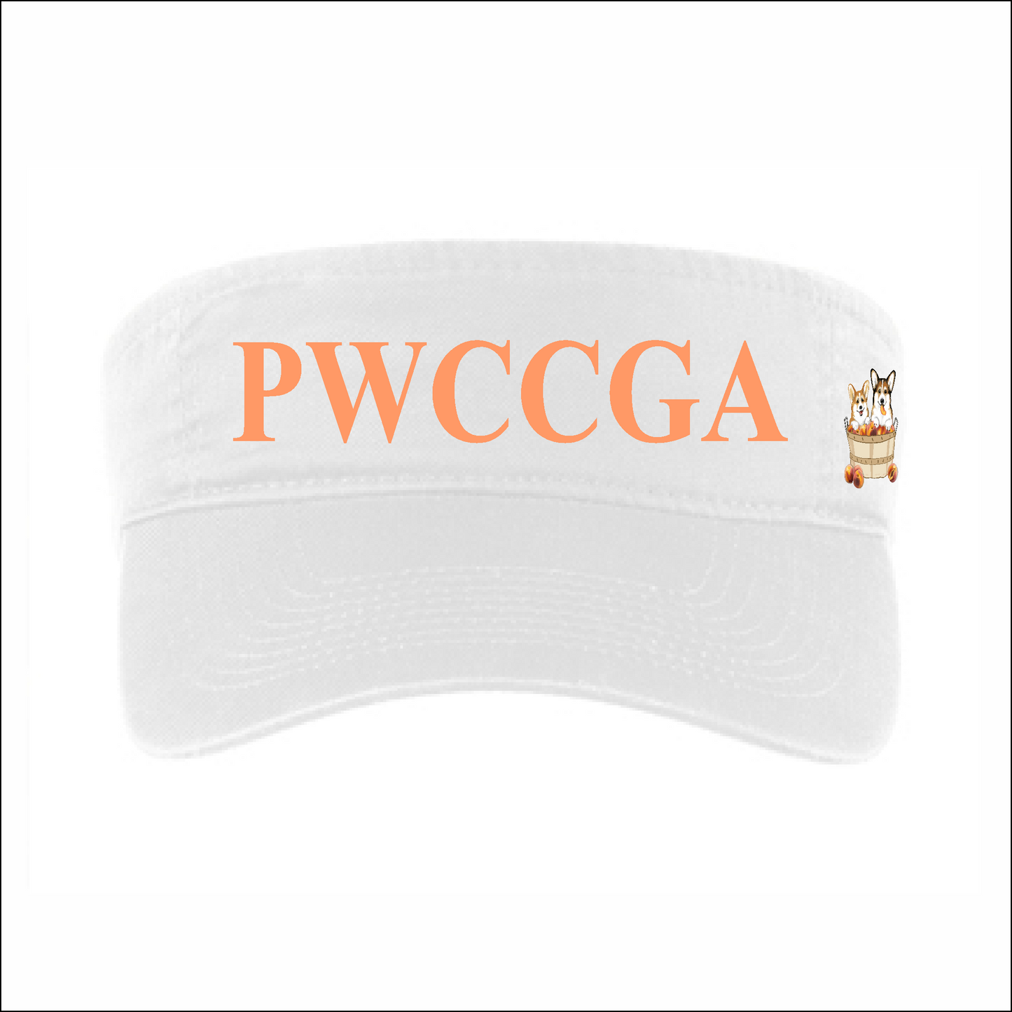 PWCCGA - Visor