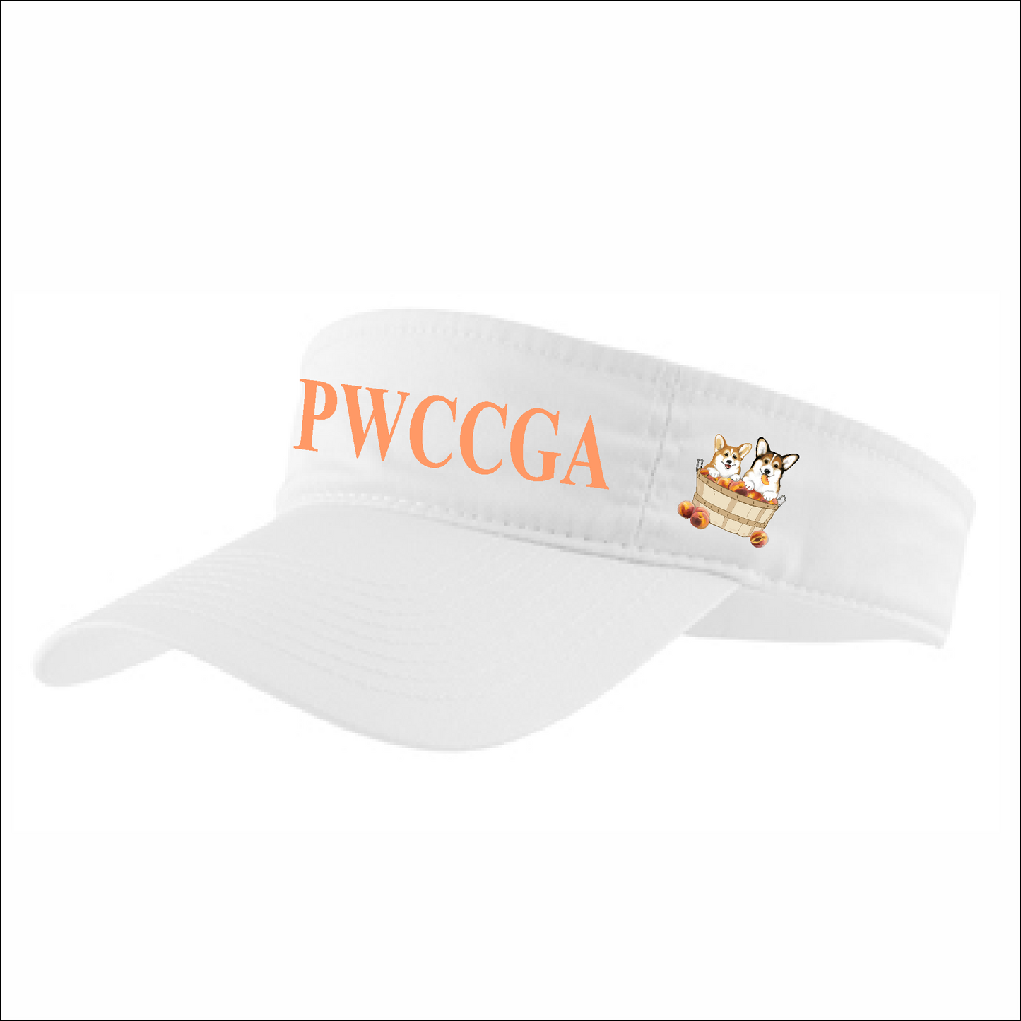 PWCCGA - Visor